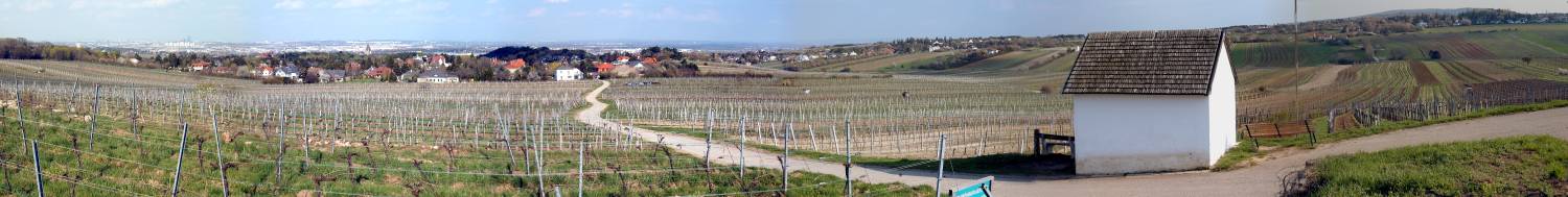 Panorama Wiener Becken