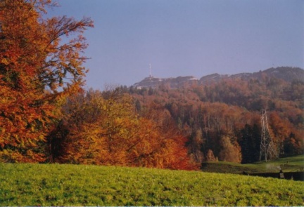 Herbstwald mit Rigi