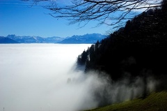 Glarner Alpen mit Nebelmeer