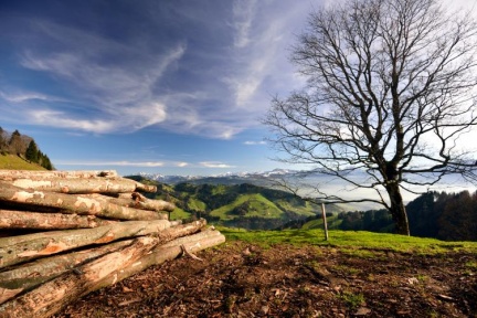 Ausblick von Farner