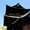 Chion-in Tempel