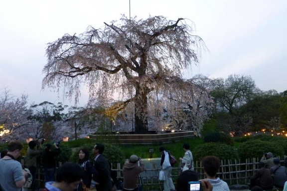 Maruyama Park