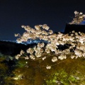 Kiyomizu Tempel