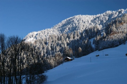 Wintermorgen bei Triesenberg