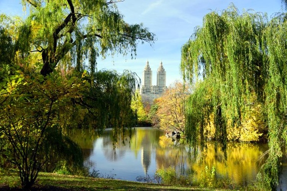 Central Park