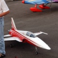 Modellflugzeug 