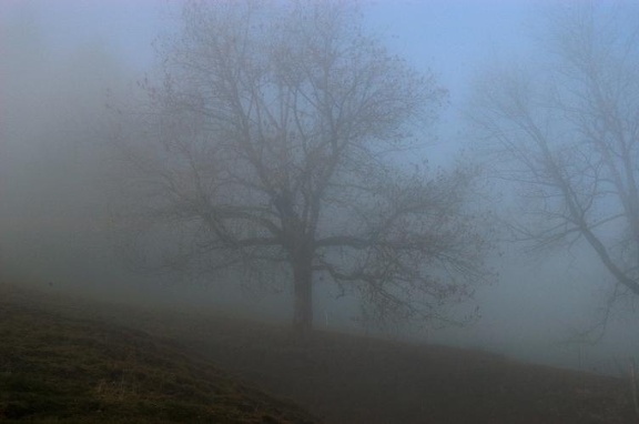 An der Nebelgrenze