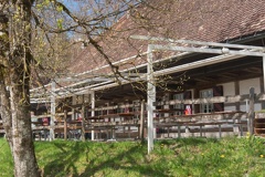 Freilichtmuseum Ballenberg