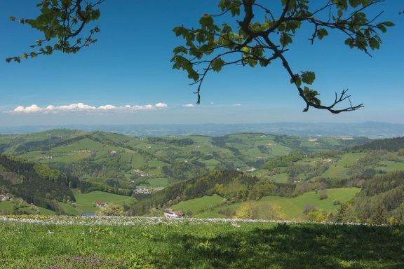 Mostviertel vom Grestner Hochkogel