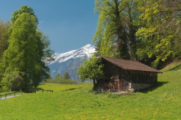 Freilichtmuseum Ballenberg