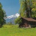 Freilichtmuseum Ballenberg