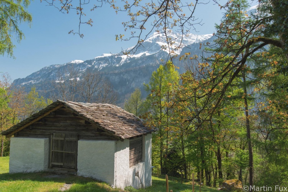 Freilichtmuseum Ballenberg