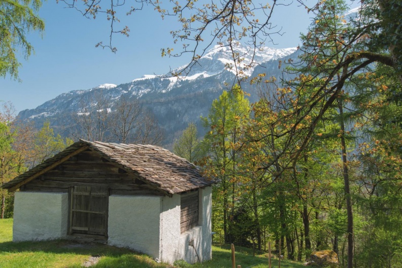 Freilichtmuseum Ballenberg