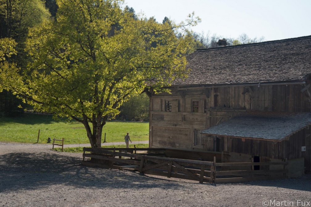 Freilichtmuseum Ballenberg