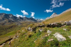 Albula Alpen