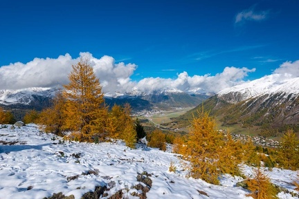 Samedan, Pontresina und Albula Alpen