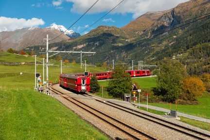 Zug der Berninabahn