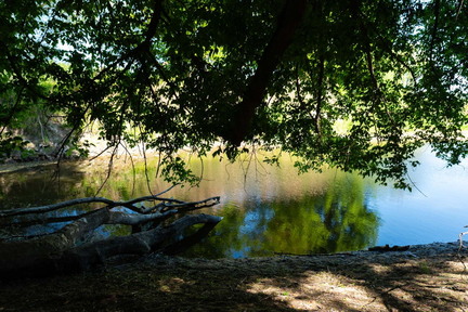 Seitenarm der Donau