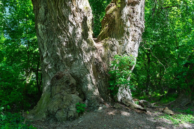 26-D01-034.jpg