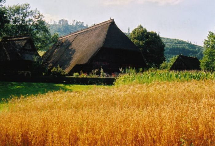 Vogtsbauernhöfe nahe Hausach